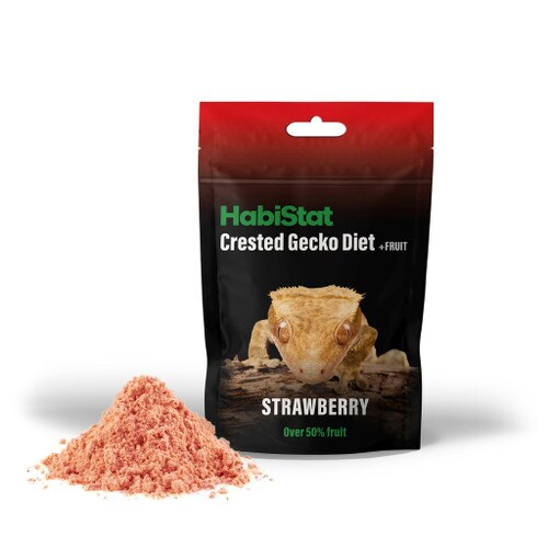 Strawberry Crested Gecko Diet 40g